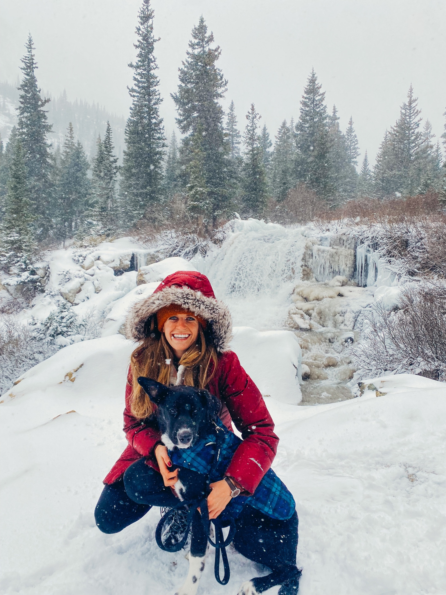 Keep you and your dog warm with these winter essentials! #competition

#LTKFind #LTKSeasonal #LTKSale