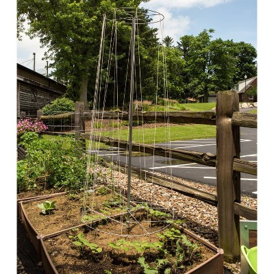 Lehman's Galvanized Steel Garden Vegetable Support for Beans Cucumbers Melons Squash, USA Made Vine Tower Stake Supports Climbing Vegetables, 6in 3ft | Target