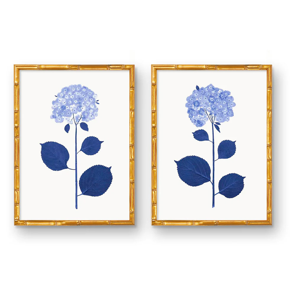 Live Hydrangea Pair | Urban Garden Prints