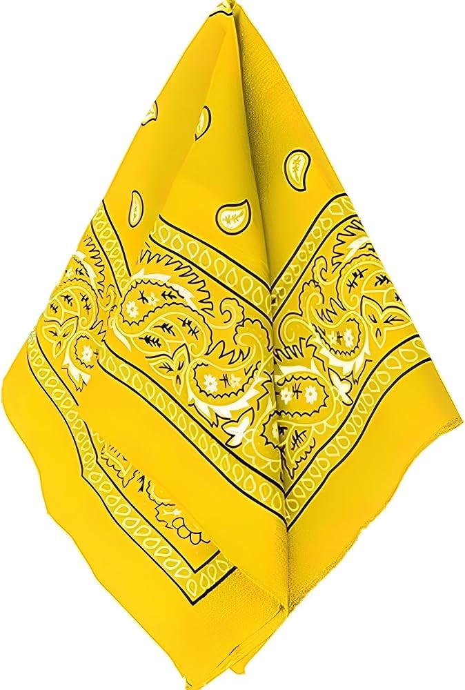 Amscan womens Paisley Bandana | Amazon (US)