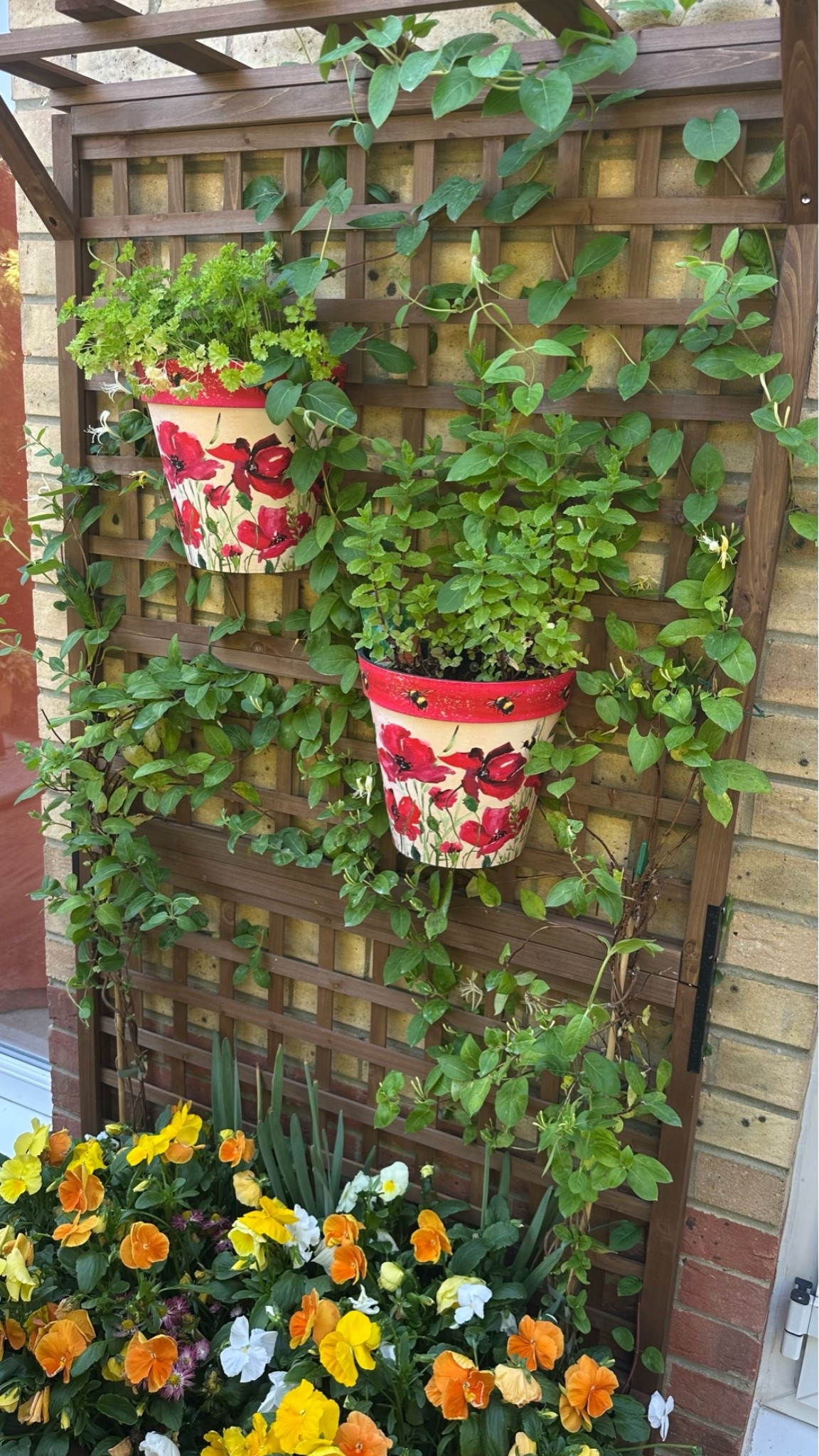 Outsunny trellis & planter 

..  my new planter & trellis is coming in a treat guys & positively blooming !! 

Kindly gifted by brand 

#garden #planter #trellis

#LTKhome #LTKspring #LTKuk
