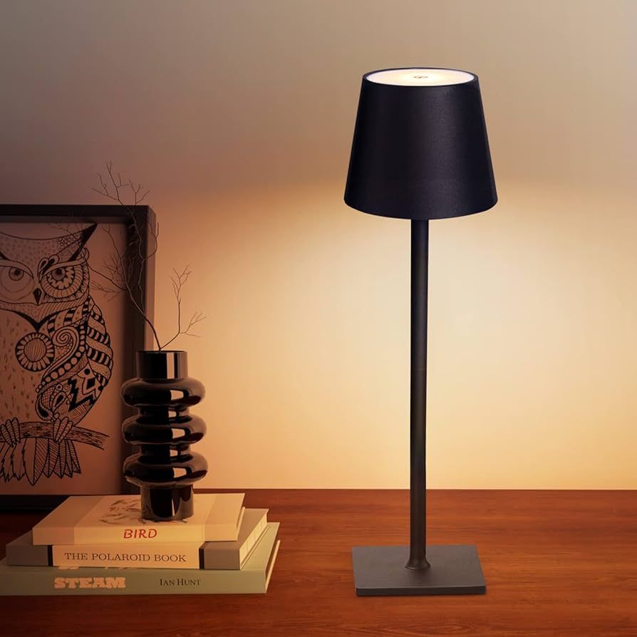 CHLORANTHUS Cordless Table Lamps, 3 Colors Stepless Dimming, 4000mAh Rechargeable Battery LED Des... | Amazon (US)