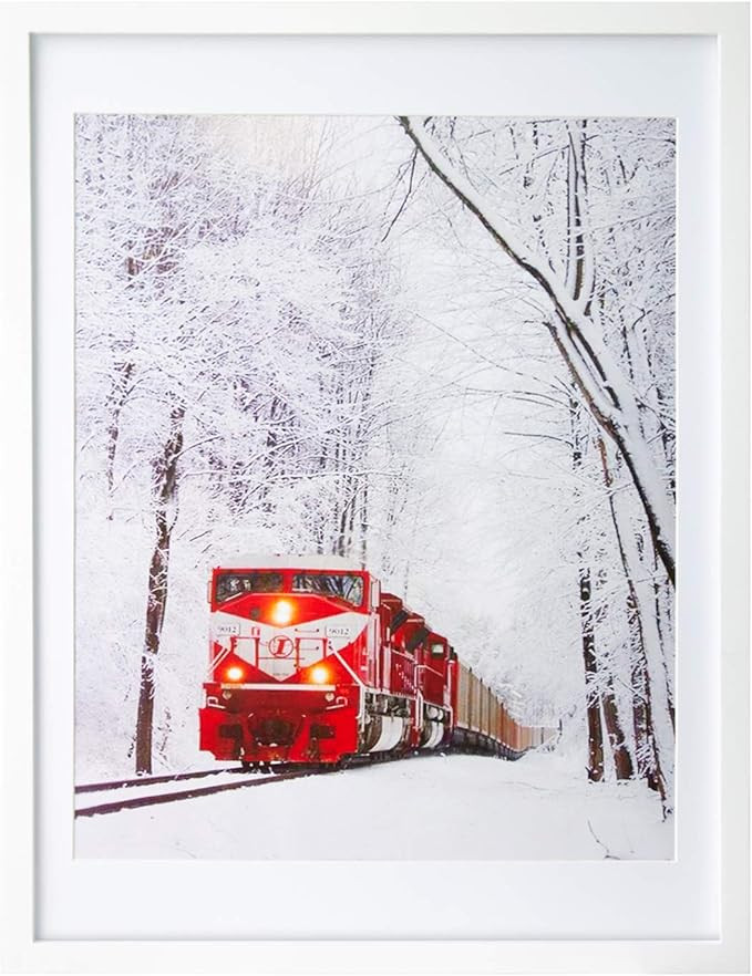 Egofine 18x24 Solid Wood Poster Frame Matted for 16x20 White - Acrylic Plexiglass Front for Wall ... | Amazon (US)