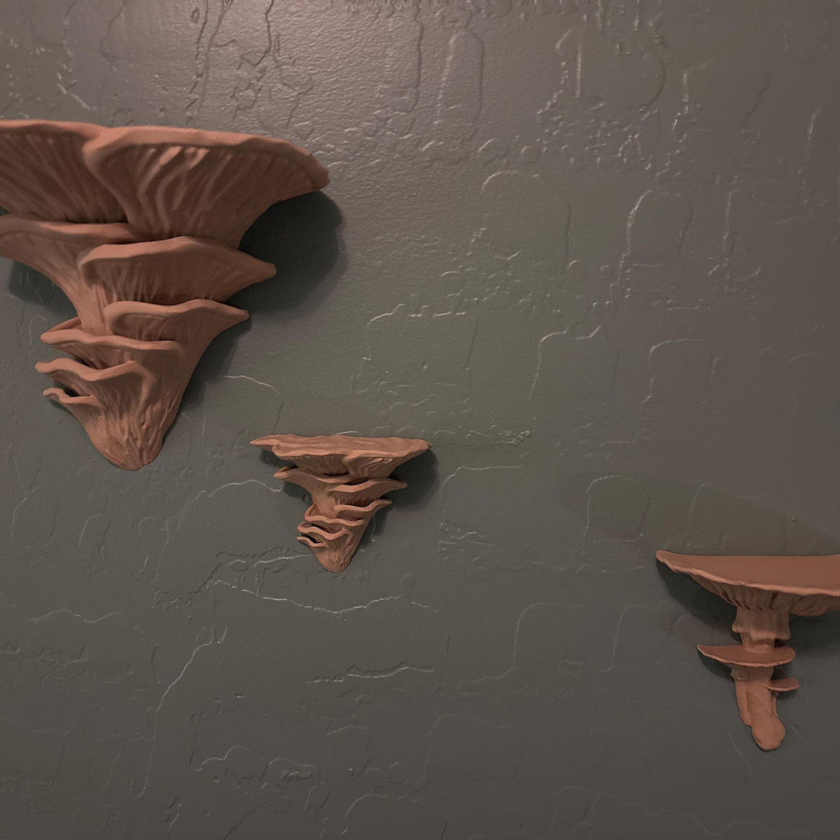 Amanita Fungus Mushroom Shelf | Floating Shelf | Standard Matte Decor | 20 Colors Available - Ets... | Etsy (US)