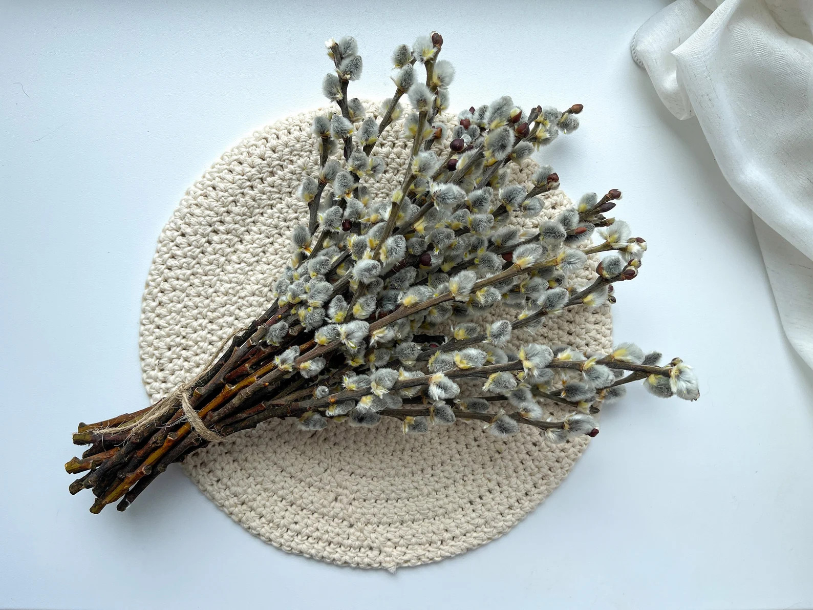 Pussywillow branches, Catkins, natural dried branches, spring decor, natural dried flowers dried ... | Etsy (US)