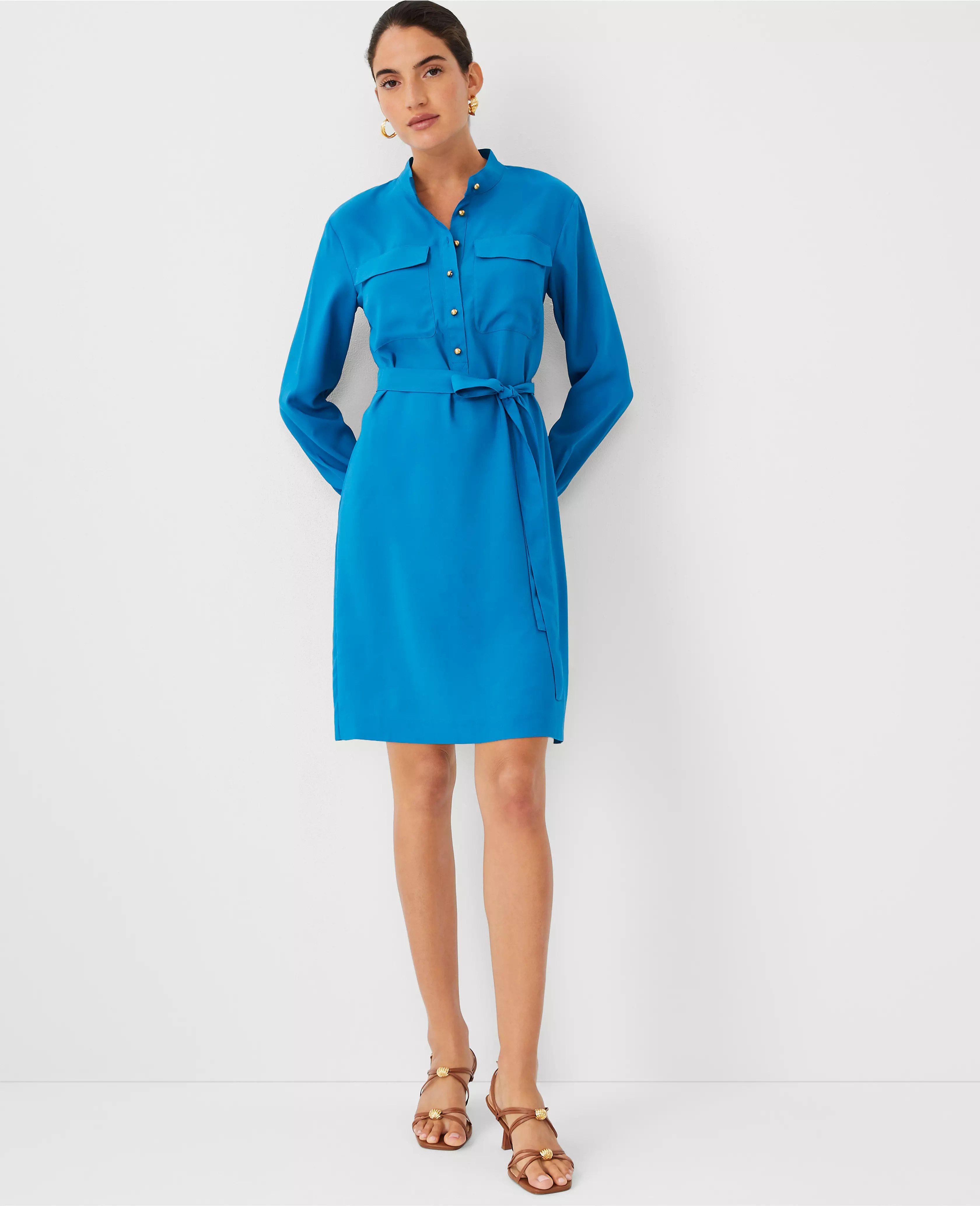 Belted Pocket Shift Dress | Ann Taylor (US)