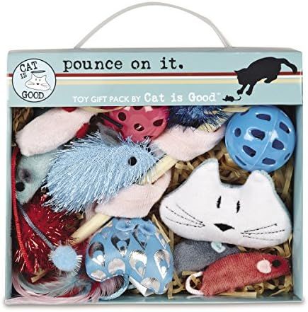 Cat Is Good 12-Piece Pounce Toy Gift Box – Pounce on It Assorted Toys Keep Cats and Kittens Ent... | Amazon (US)
