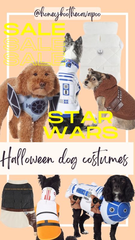 #ltkdog #ltkpets #dog 

Dog costume halloween costume Star Wars Disney chewy Princess Leia R2D2 Han Solo

#LTKSeasonal #LTKHalloween