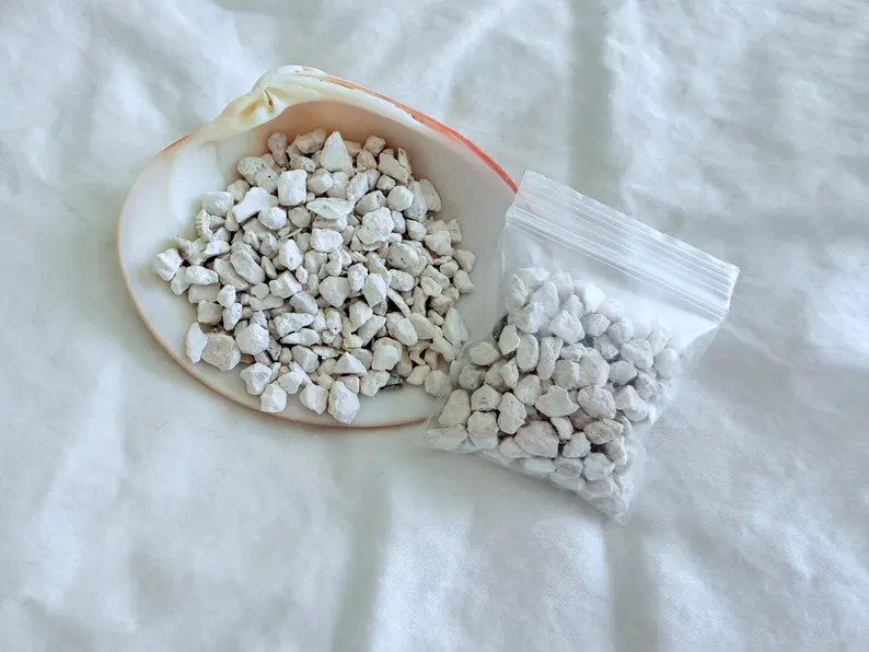 Oyster shells | Etsy (Global)