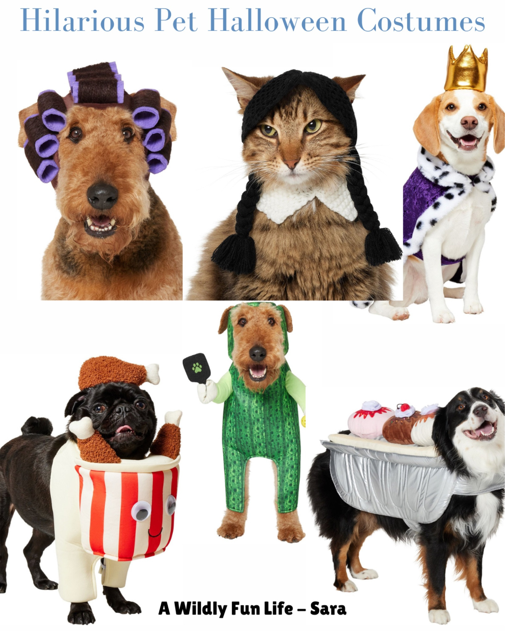 I found the funniest Halloween Costumes for Dogs and Cats!

#LTKFindsUnder50 #LTKSeasonal #LTKHalloween