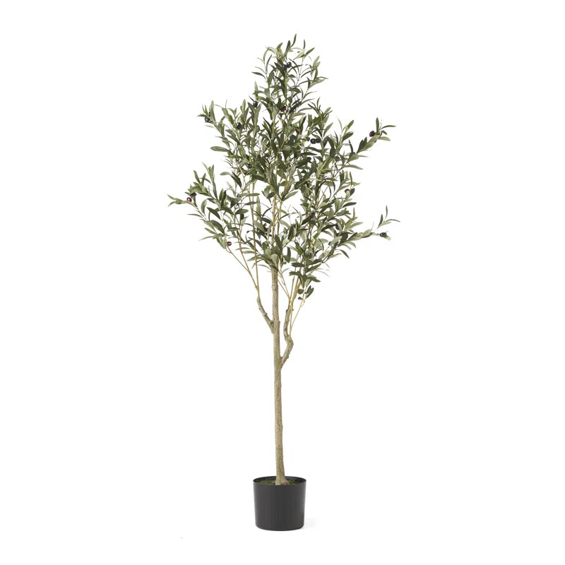 Aarav Artificial Olive Tree in Pot | Wayfair North America