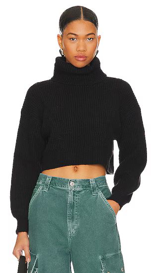 Sloane Turtleneck Sweater in Black | Revolve Clothing (Global)