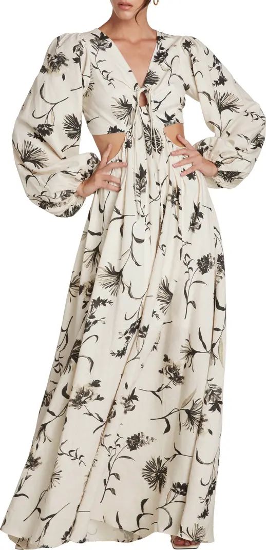 Willow Rosa Floral Cutout Maxi Dress | Nordstrom | Nordstrom