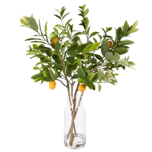 72cm Faux Lemon Tree Branches with Glass Vase | Temple & Webster | Temple & Webster AU