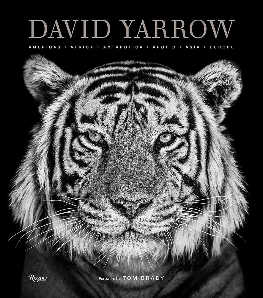 David Yarrow Photography: Americas Africa Antarctica Arctic Asia Europe | Amazon (US)