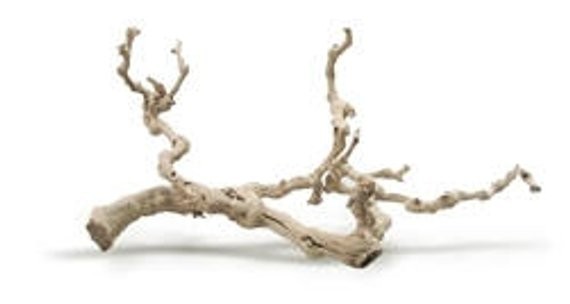 Sandblasted Grapewood, 24" | Etsy (US)