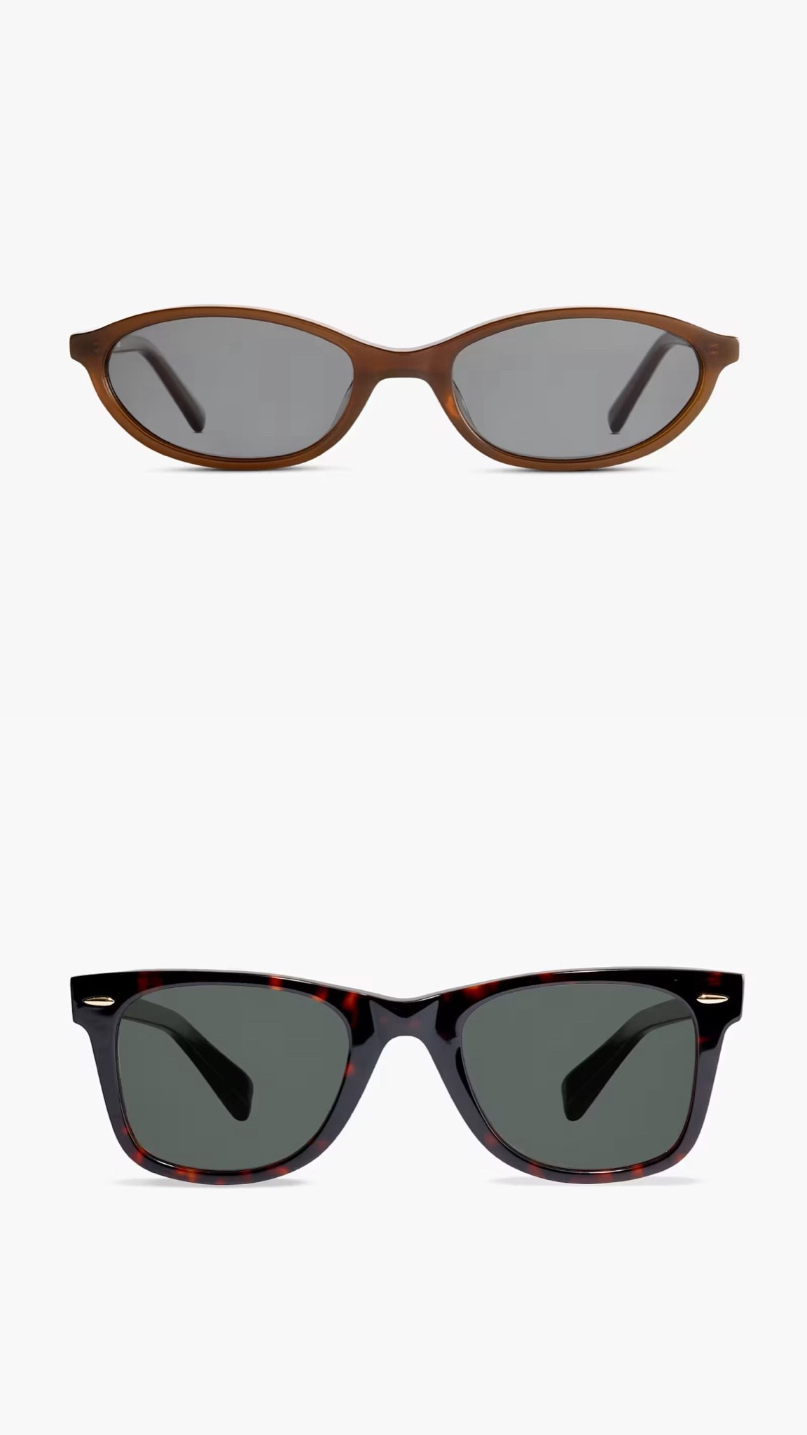 Quince sunglasses
