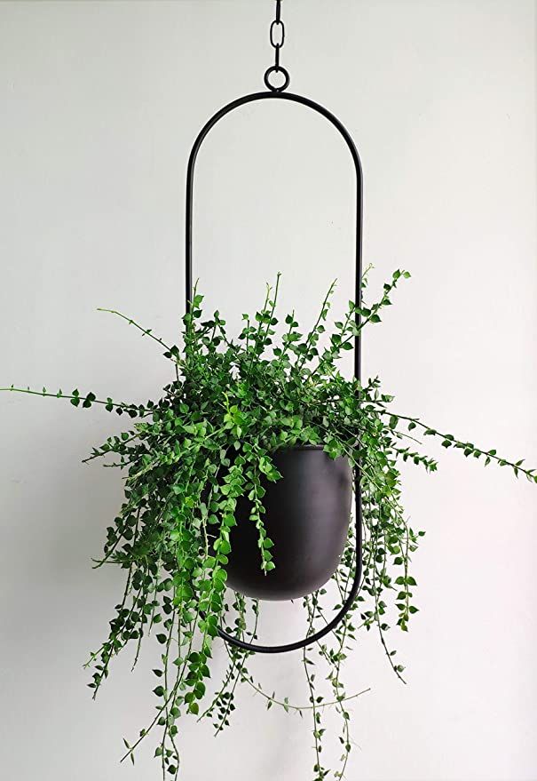 RISEON Boho Black Metal Plant Hanger,Metal Wall and Ceiling Hanging Planter, Modern Planter, Mid ... | Amazon (US)