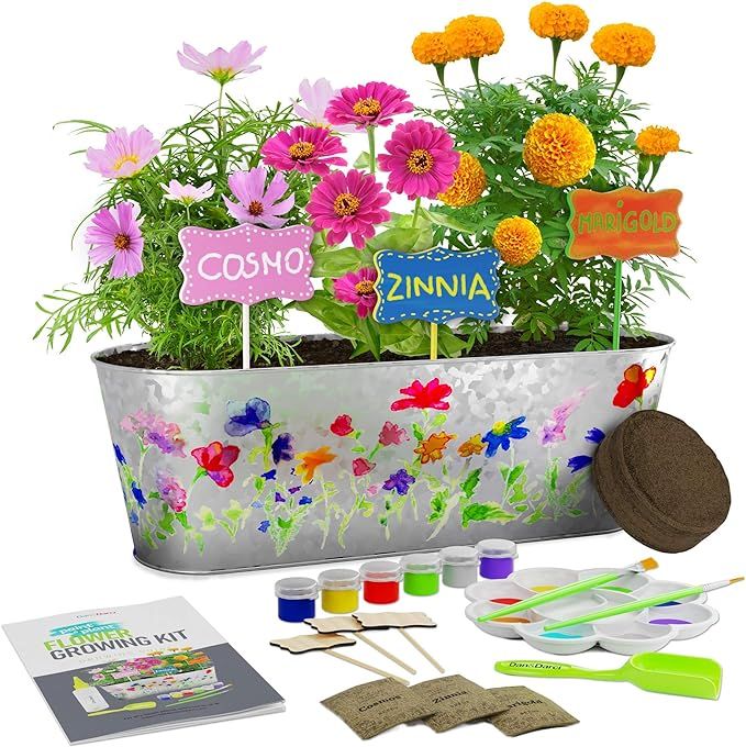 Paint & Plant Flower Growing Kit for Kids - Best Birthday Crafts Gifts for Girls & Boys Age 4, 5,... | Amazon (US)