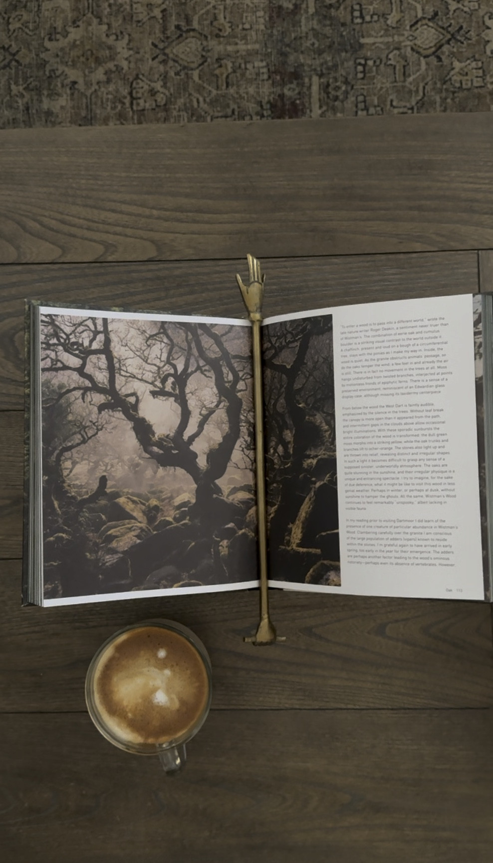 Coffee table decor, coffee table books, book display, Alice lane, home decor 

#LTKhome #LTKstyletip