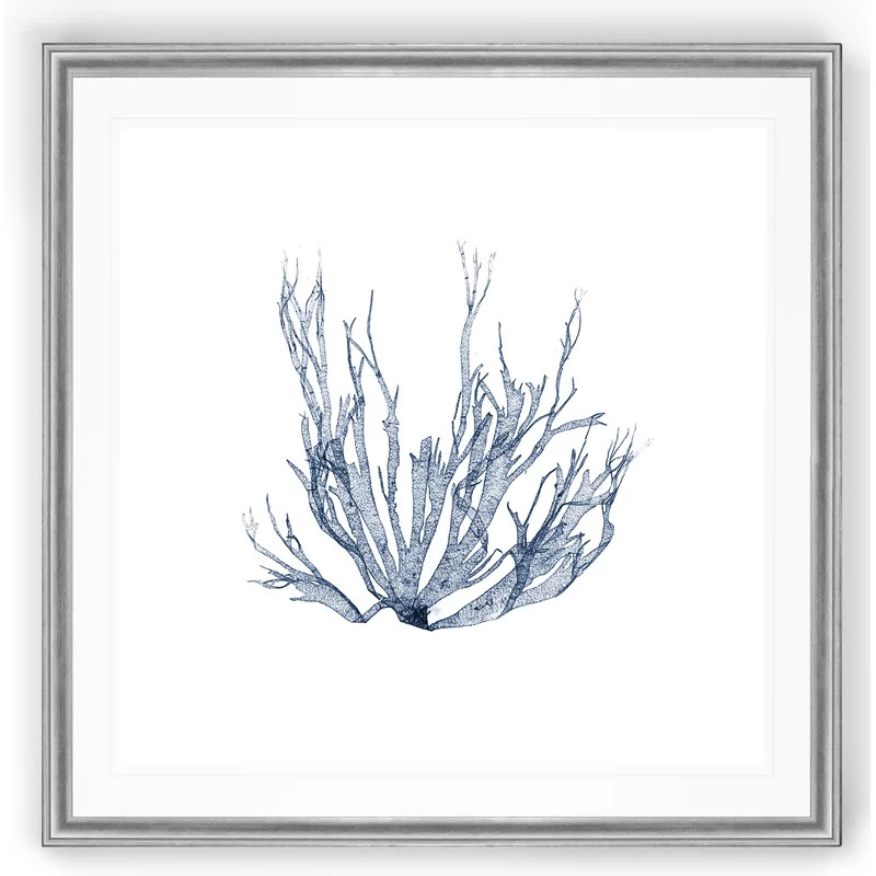 Navy Seaweed IV - Wrapped Canvas Print | Wayfair North America