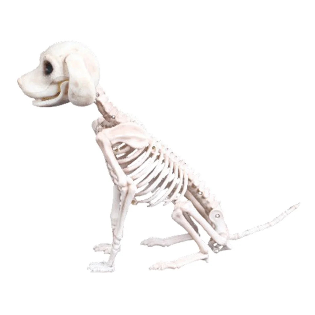 Halloween Skeleton  Dog Prop Animal Bones Party Shop Decoration Horror | Walmart (US)