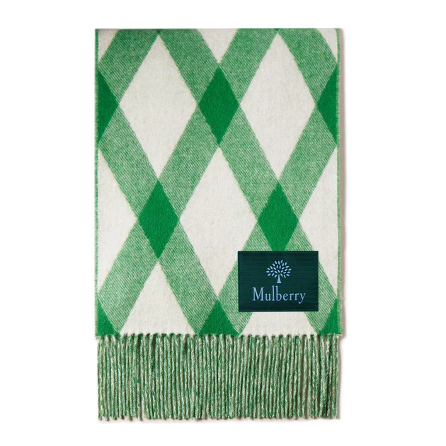 Mulberry Cashmere Blend Scarf | Shop Premium Outlets