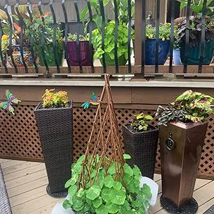 Expandable Teepee Willow Fence,Teepee Trellis Pyramid Plant Climbing,Self Standing Expandable Tee... | Amazon (US)