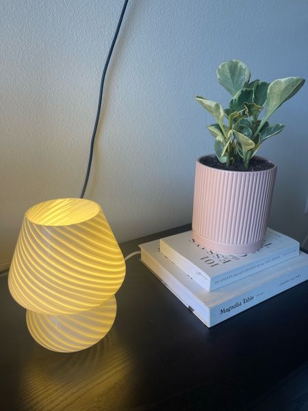 New plant and cute little mushroom lamp 🍄