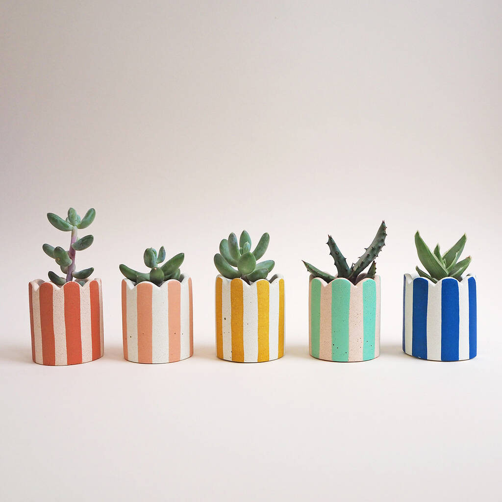 Mini Scalloped Stripy Pot / Tea Light Holder | Not On The High Street