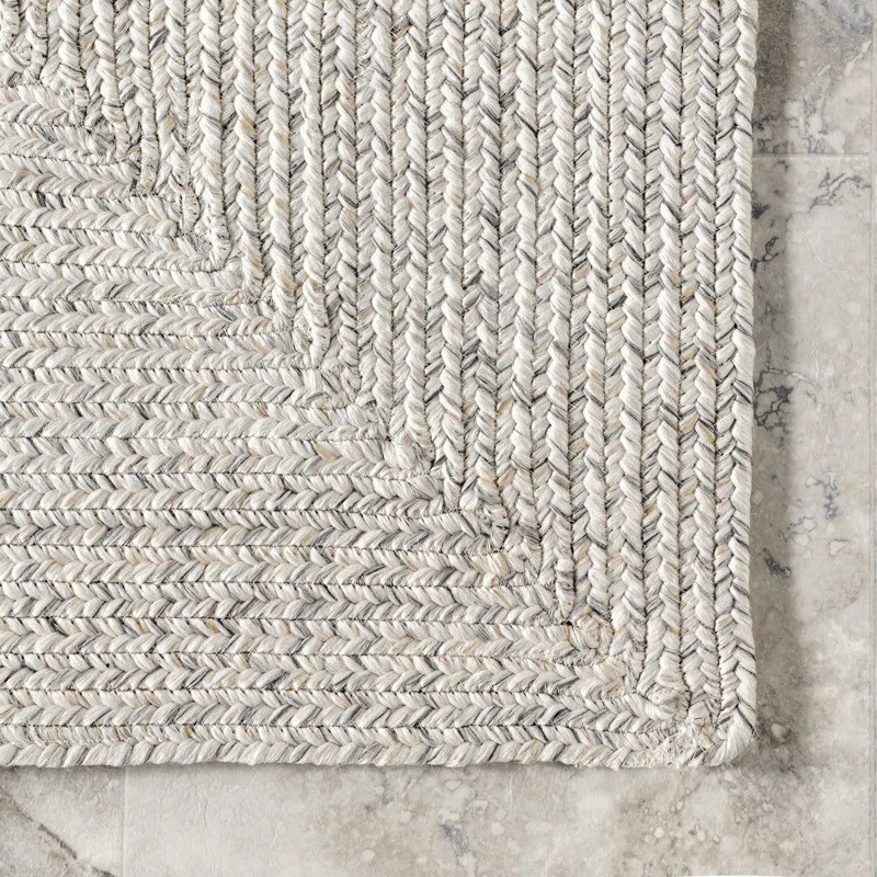 Owensby Braided Tan Indoor/Outdoor Rug | Wayfair North America