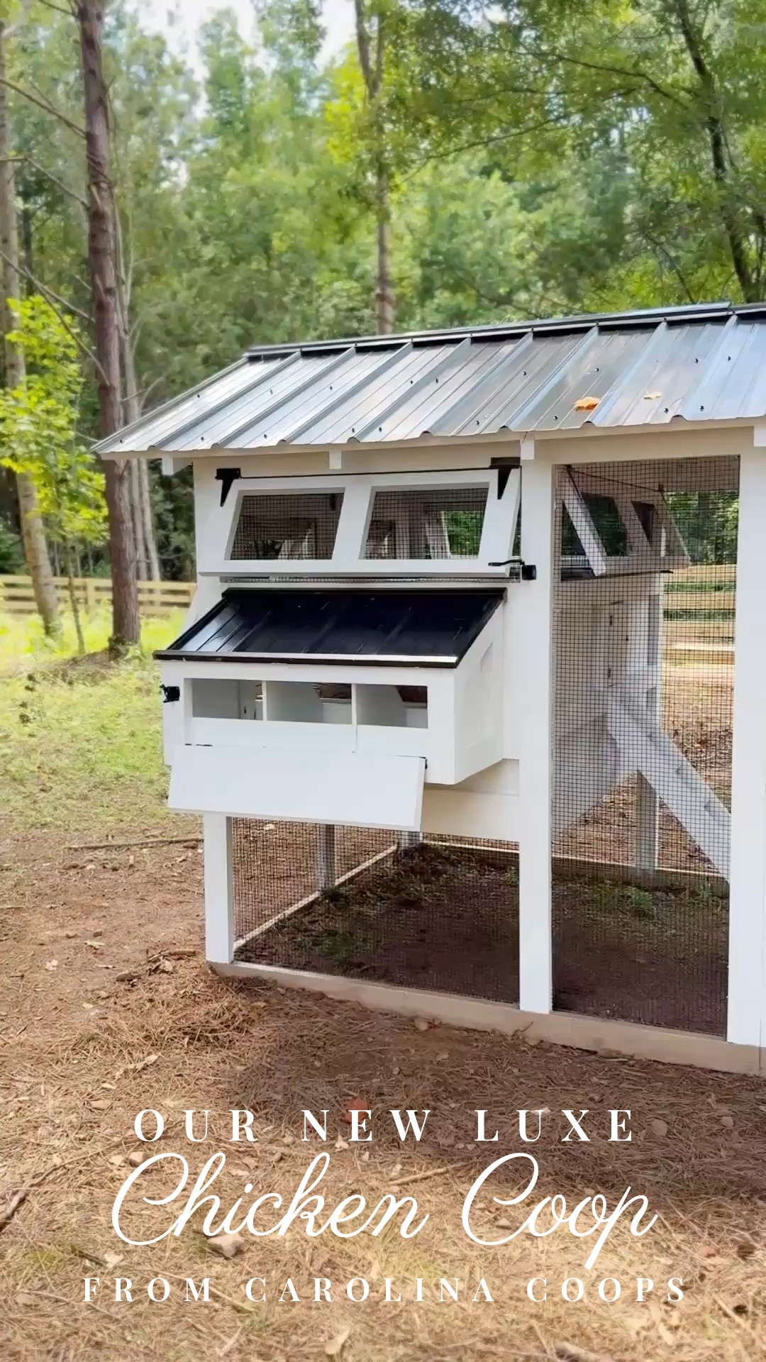 Meet our new backyard beauty 🐓✨ We teamed up with Carolina Coops to bring their American Coop to our backyard hobby farm—and it’s even better than we imagined!

We assembled and painted it ourselves, and it features their hemp bedding with the deep litter method… meaning we only have to clean it once a year 🙌🏼 Cozy for the hens, easy for us, and a perfect fit for the farm 💛

Every detail was so well thought out—and I’m officially obsessed. Stay tuned to see how we make it our own ✨

#CarolinaCoops #AmericanCoop #BackyardChickens #ChickenCoopGoals #FarmhouseStyle #DIYChickenCoop #PorcheAndCo #LTKFarmhouse #LTKHome #HempBedding #DeepLitterMethod #ModernHomestead #ChickenKeepingMadeSimple

#LTKHome #LTKFamily #LTKStyleTip