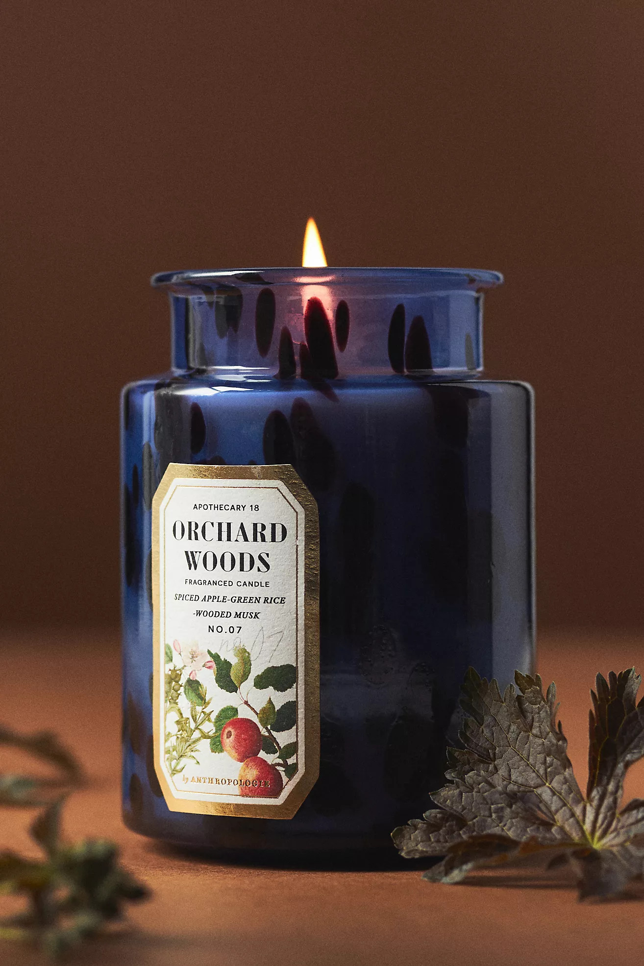 Apothecary 18 Spice Orchard Woods Glass Jar Candle | Anthropologie (US)