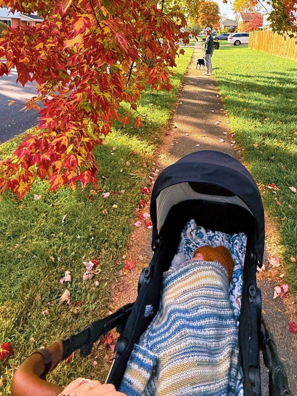 so in love with this stroller, some say it’s a dupe for the Nuna #dupe

#LTKBaby #LTKKids #LTKBump