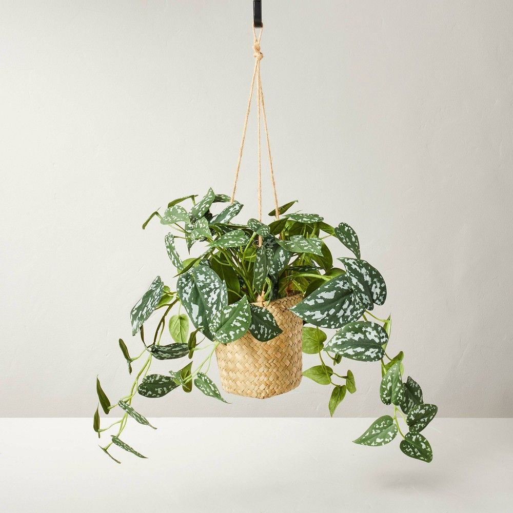 12"" Faux Variegated Pothos Hanging Plant - Hearth & Hand™ with Magnolia | Target
