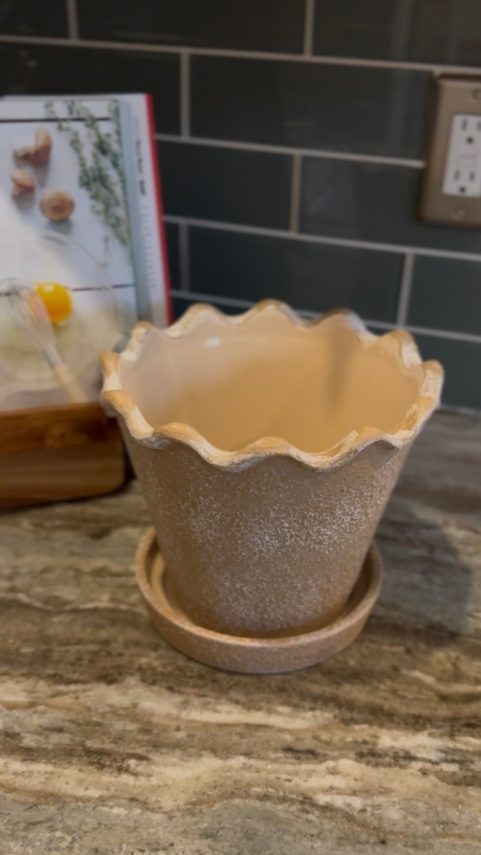 The cutest scalloped pot for $16!

#LTKSeasonal #LTKHome #LTKmomlife