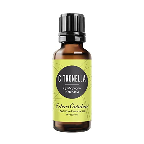Edens Garden Citronella Essential Oil- 100% Pure Premium Grade, Undiluted, Natural, Therapeutic, Aromatherapy, The Best for Diffuser, Skin, Candle, Kid Safe 30 ml (1 fl oz) | Amazon (US)