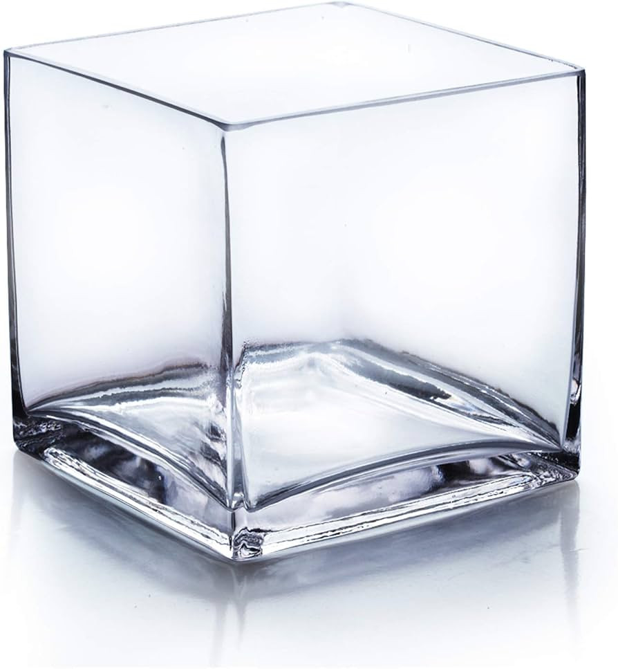 WGV Cube Glass Vase, Candle Holder, 7"x7"x7", Clear Elegant Floral Accent Container Planter Terra... | Amazon (US)
