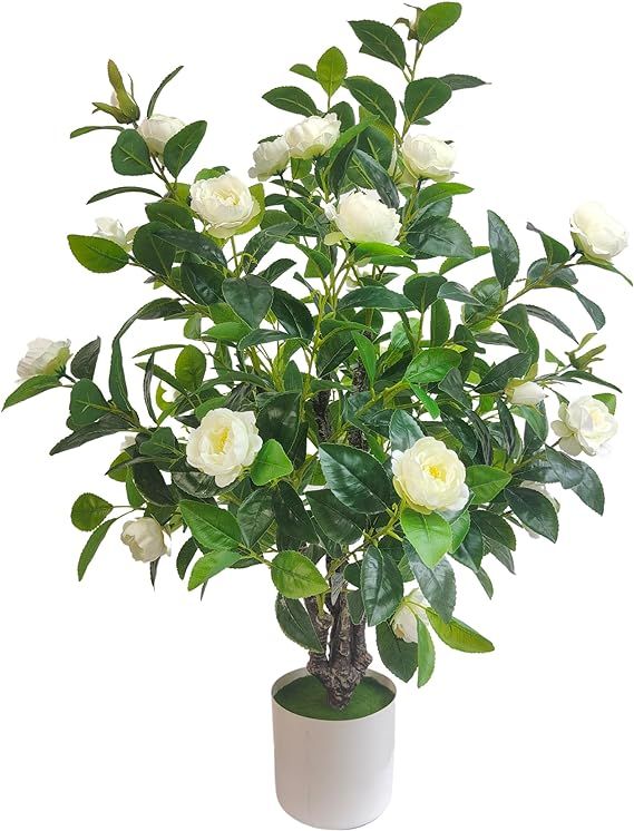 ECOFOREST Artificial Camellia Tree 35in Faux Floral Plant with White Flowers and Green Leaves - N... | Amazon (US)