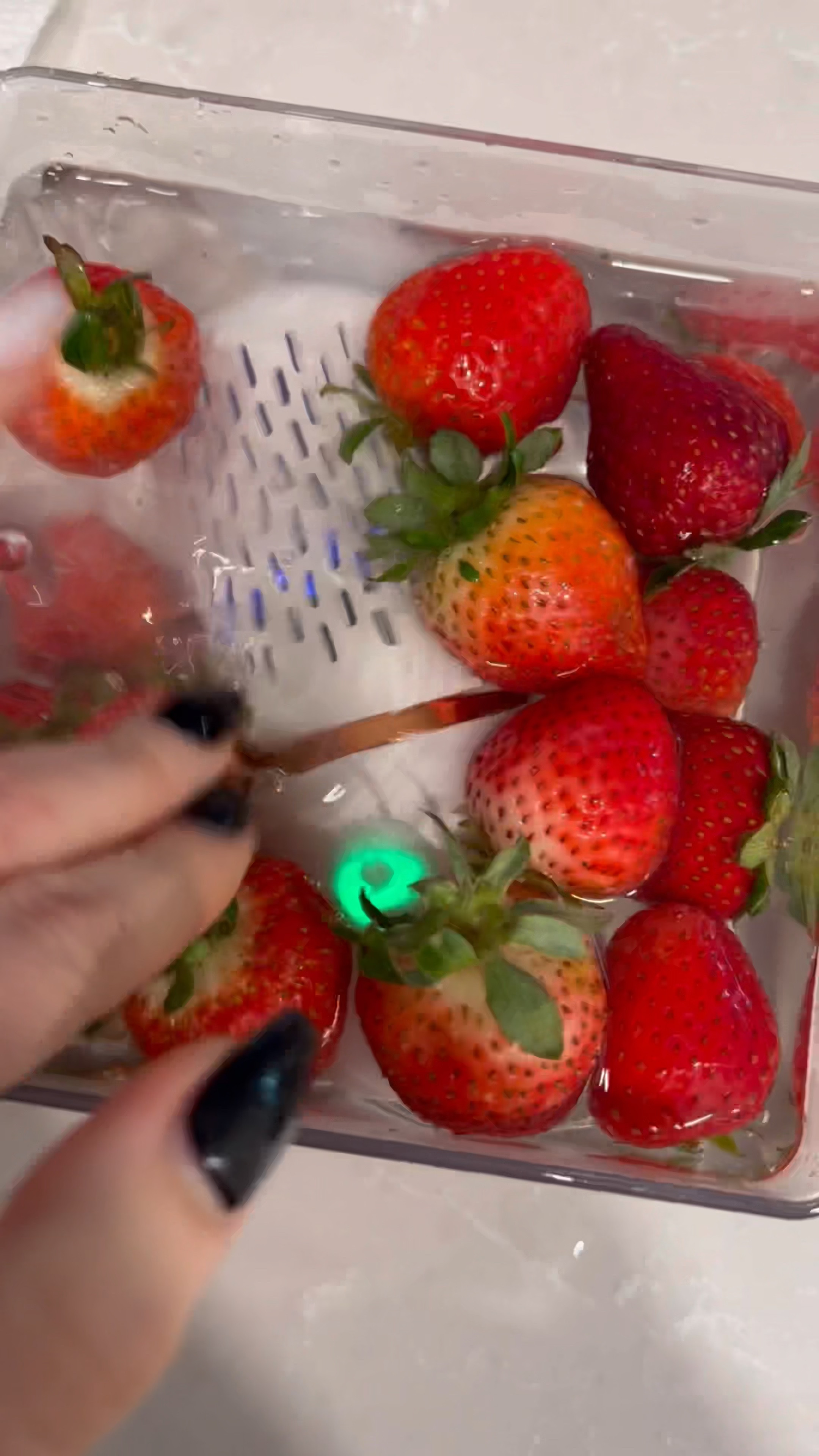 This small Veggie and Fruit sanitizer is a game changer for anyone who has a lot of food sensitivities and wants to ensure any pesticides, bugs or unwanted residue  are completed removed! I use it everyday it only takes a few short minutes! Perfect stocking stuffer for anyone too! 

#LTKhome #LTKGiftGuide #LTKHoliday