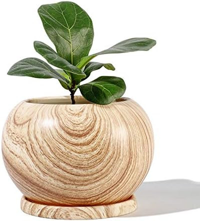POTEY Planter Ceramic Plant Flower Pot - 5" Large Indoor Glazed Container Bonsai with Drainage Hole  | Amazon (US)