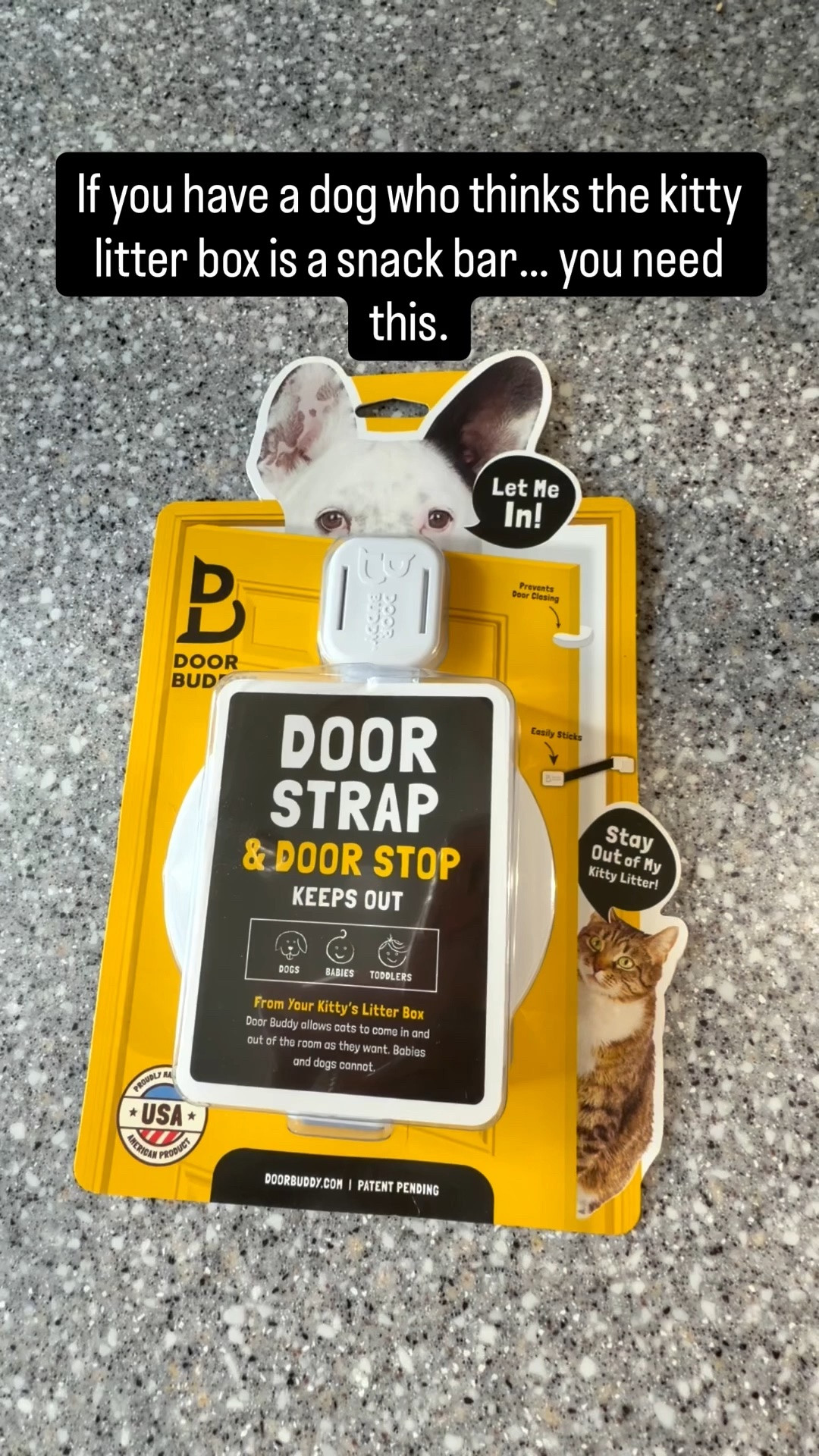 Keeping Violet out of places she absolutely does not need to be 😂🐶🐱 Use the code SPACE4CATS for 20% off! @thedoorbuddy @pupfluence #DoorBuddy #pupfluencer #becausecatsneedspace #catdoorstrap #thedoorbuddy

#LTKmomlife #LTKSaleAlert #LTKdayinmylife