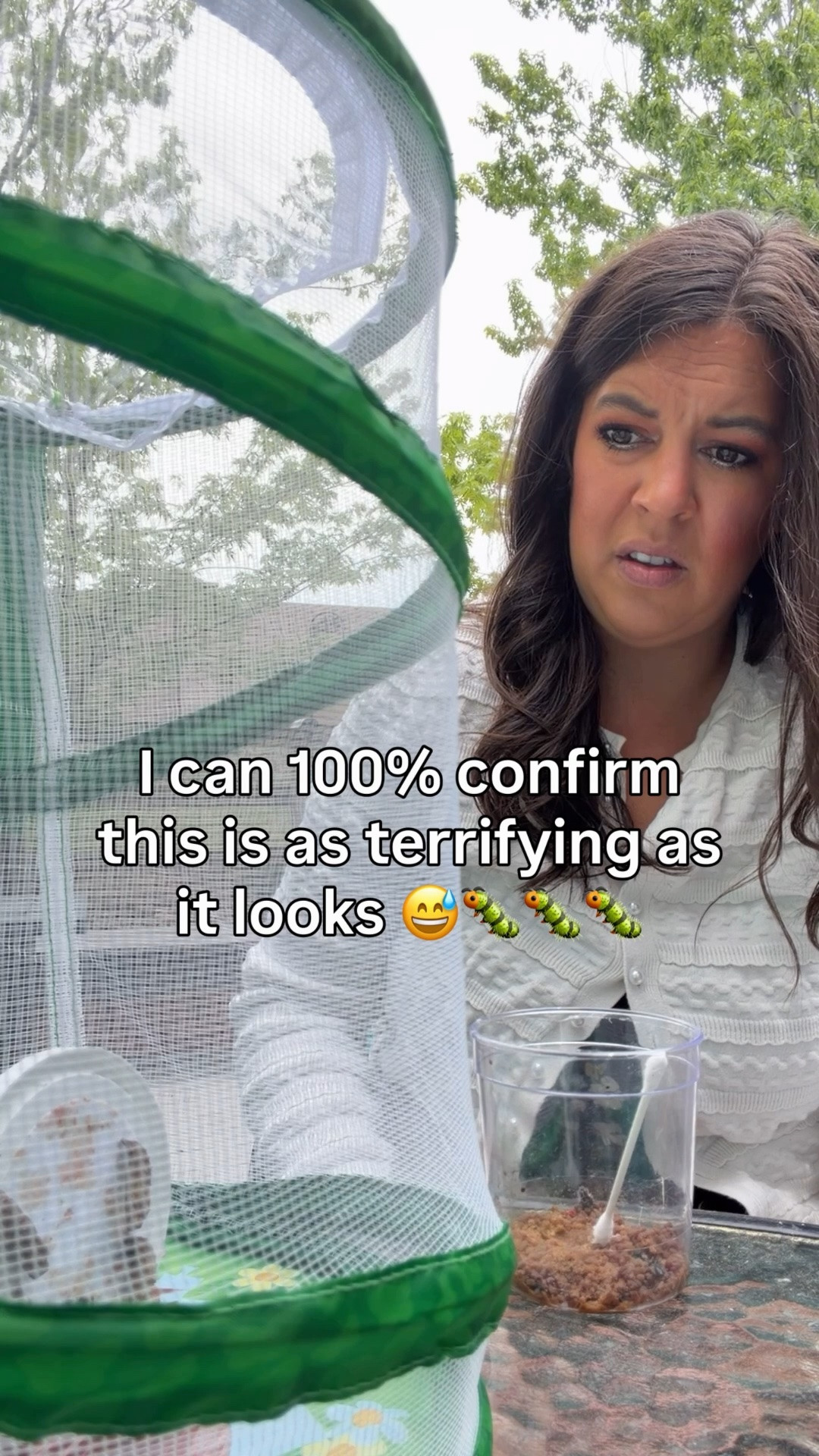 All 5 🐛 better survive and turn into 🦋 🤞🏻🤞🏻🤞🏻🤞🏻I think this is the scariest part of the Butterfly kit. Don’t you think? 

#butterflylesson #butterflieswithkids #teacherhumor

#LTKdayinmylife #LTKstorytime