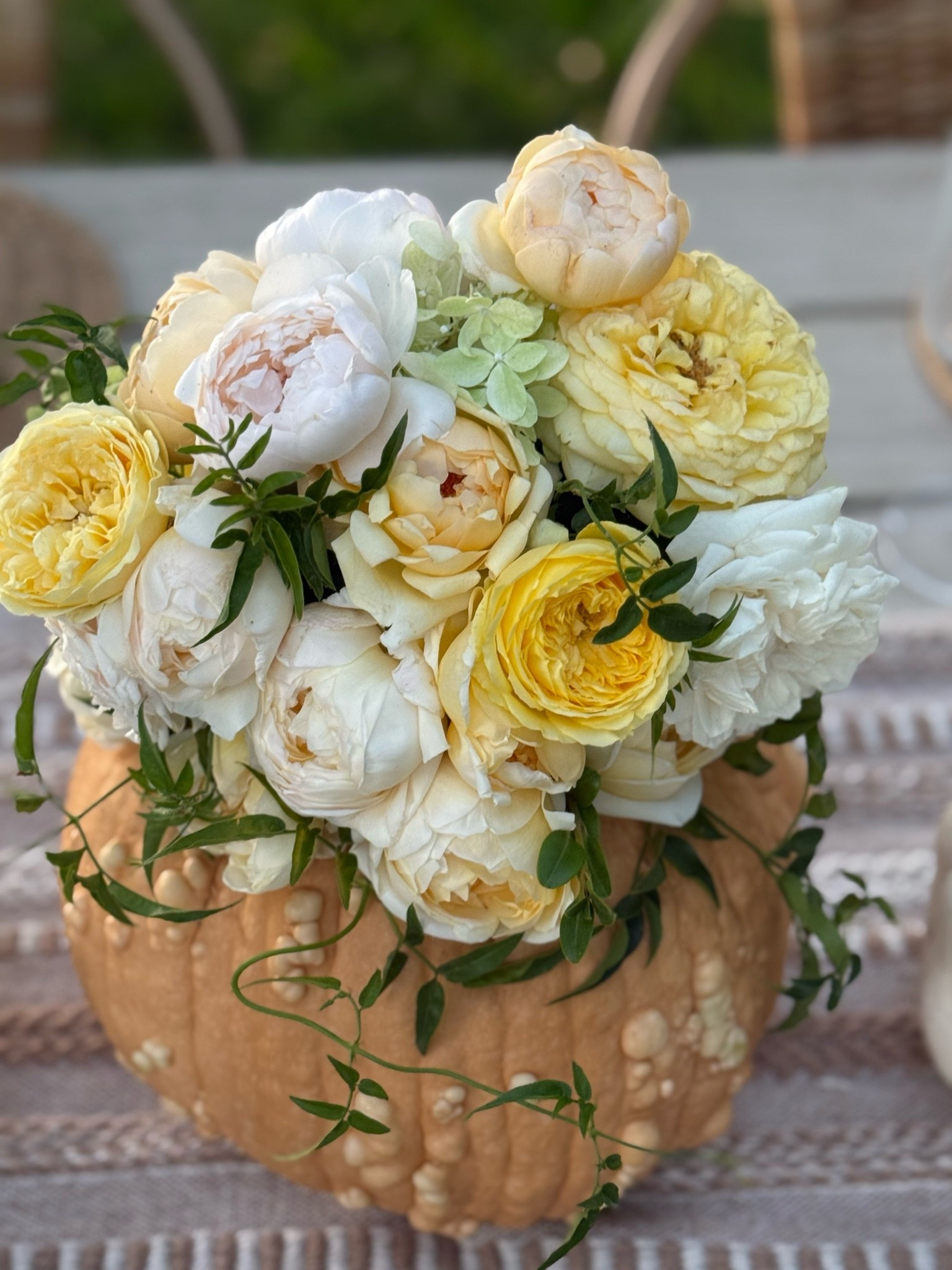 Fall is upon us! I’m loving this beautiful floral pumpkin centerpiece we made using one of my homegrown pumpkins and gorgeous yellow and white garden roses from my family flower farm here in Northern California! This will look amazing on your counter or on your tablescape! ❤️

#LTKSeasonal #LTKHome #LTKdayinmylife
