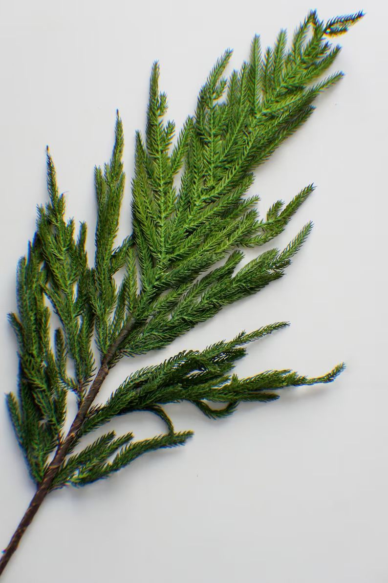 36" Fresh Touch Norfolk Pine Spray Artificial Pine Spray, Stem Christmas Greenery, Winter Greener... | Etsy (US)