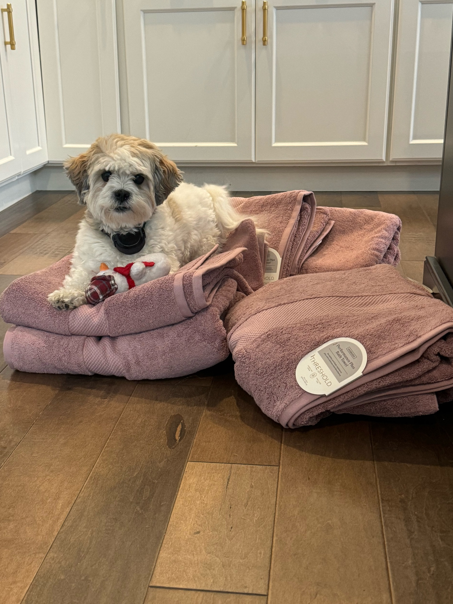 After polling instagram these towels were the highest recommended towels along with Costco! They come in so many colors too!

#LTKCyberWeek #LTKSaleAlert #LTKHome