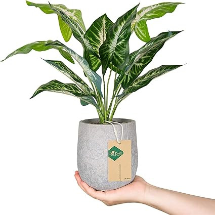 Der Rose 16'' Fake Plants Artificial Potted Greenery Faux Plants for Office Desk Home Bathroom De... | Amazon (US)