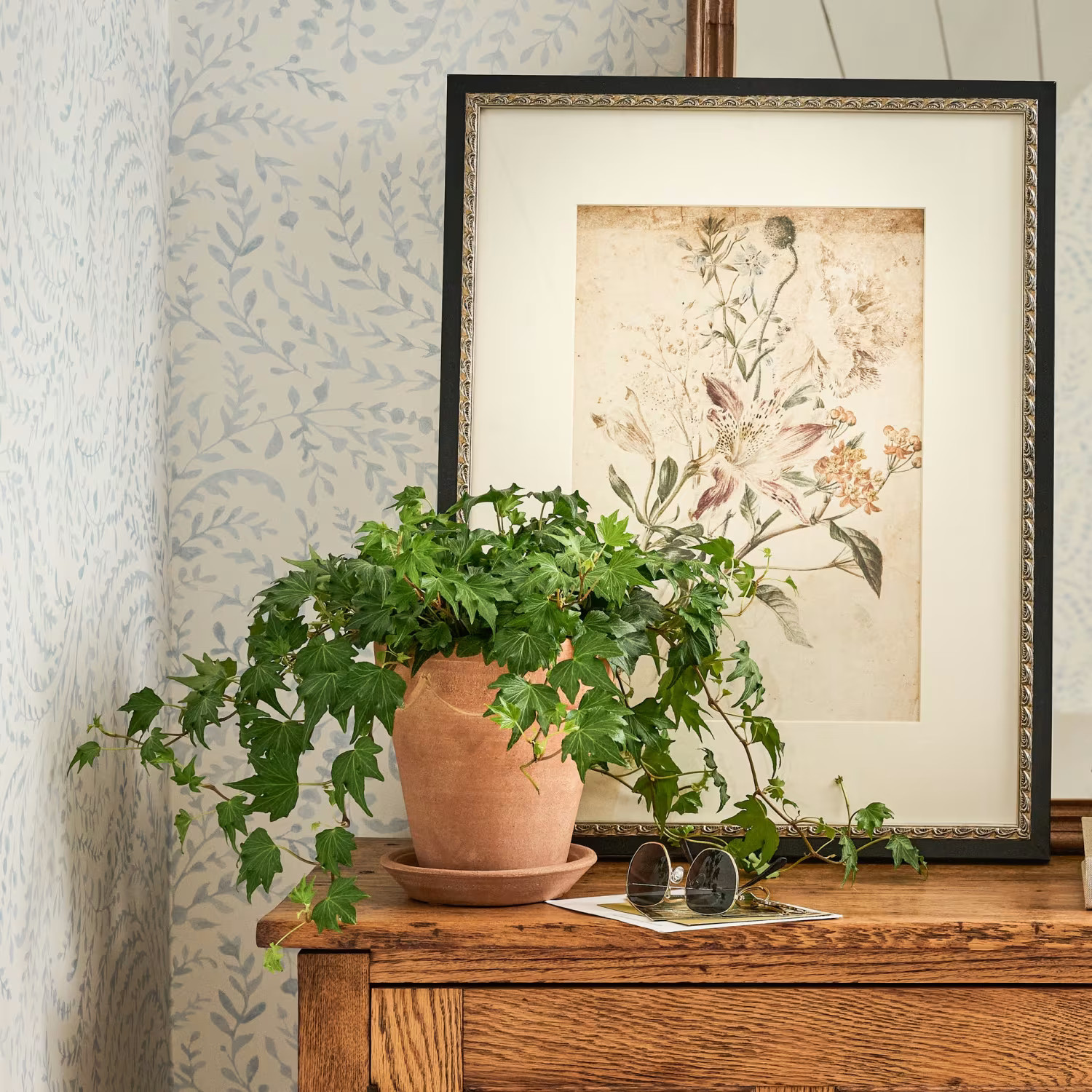 Terracotta Orleans Pot | Magnolia