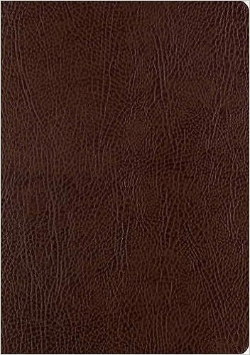 ESV Single Column Journaling Bible, Large Print (Mocha) | Amazon (US)