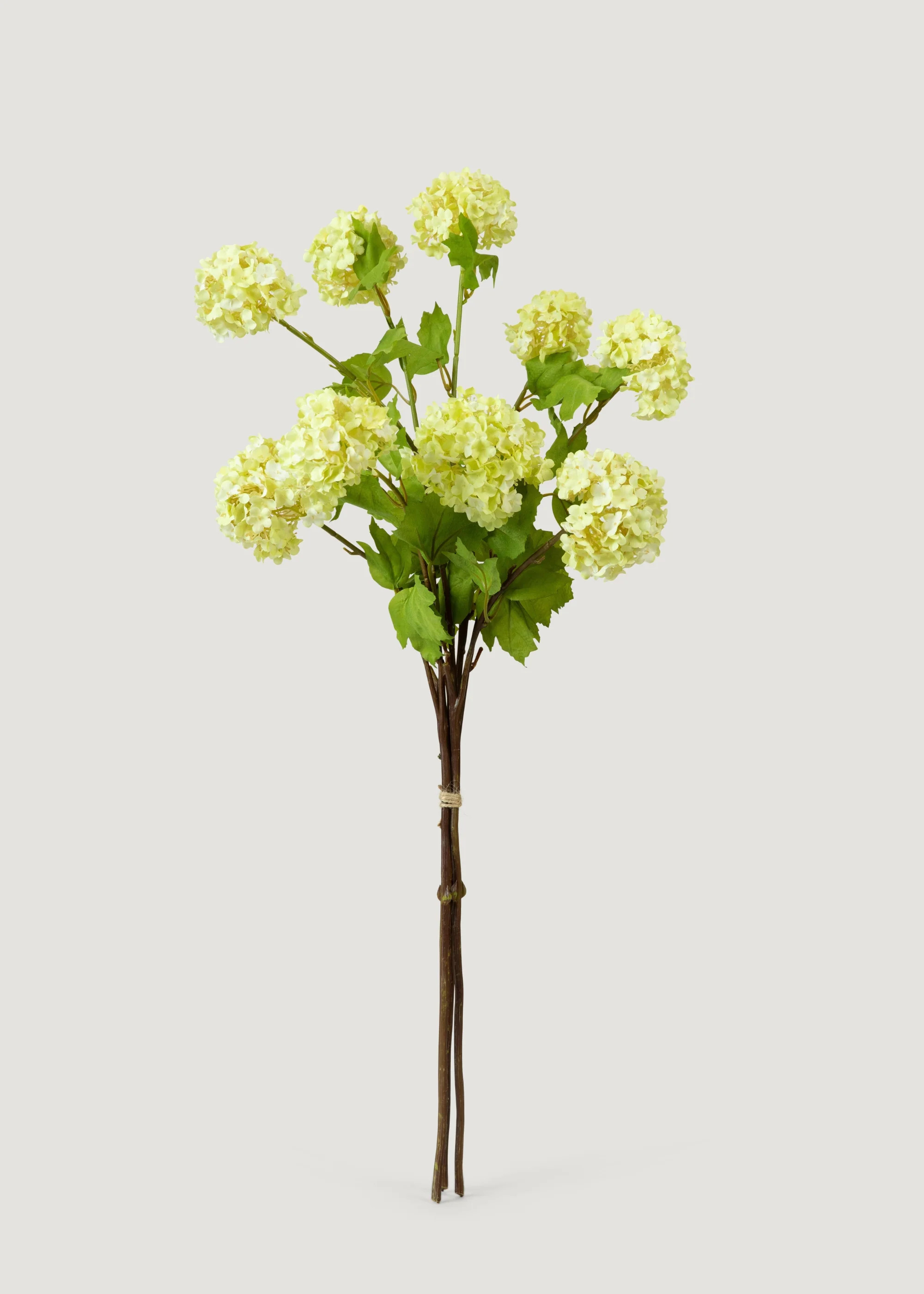Lime Green Snowball Bundle | Realistic Faux Flowers | Afloral | Afloral